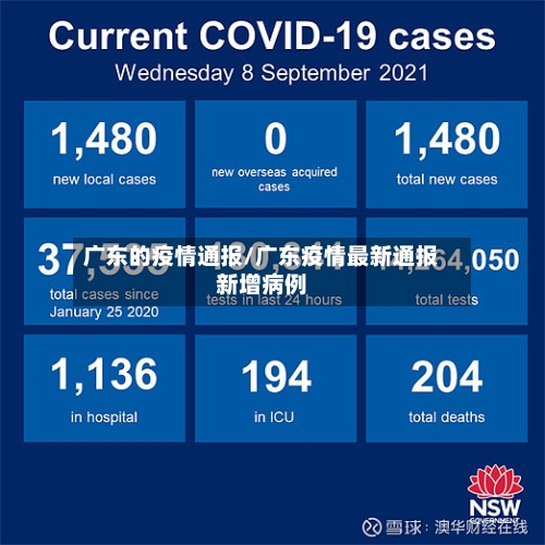 广东的疫情通报/广东疫情最新通报新增病例