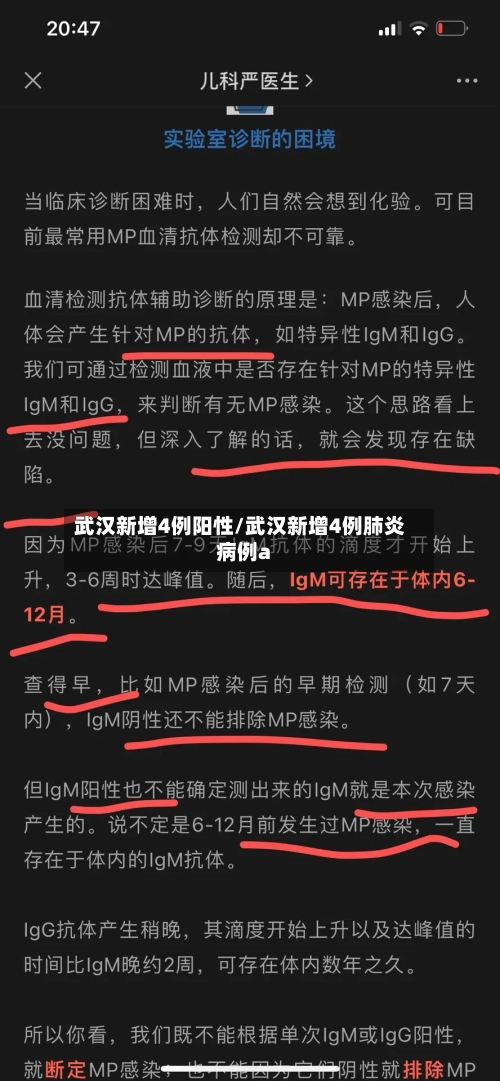 武汉新增4例阳性/武汉新增4例肺炎病例a-第3张图片