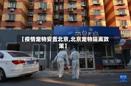【疫情宠物安置北京,北京宠物隔离政策】