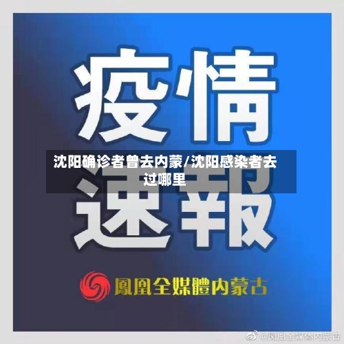 沈阳确诊者曾去内蒙/沈阳感染者去过哪里-第2张图片