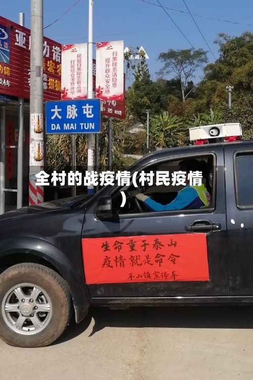 全村的战疫情(村民疫情)