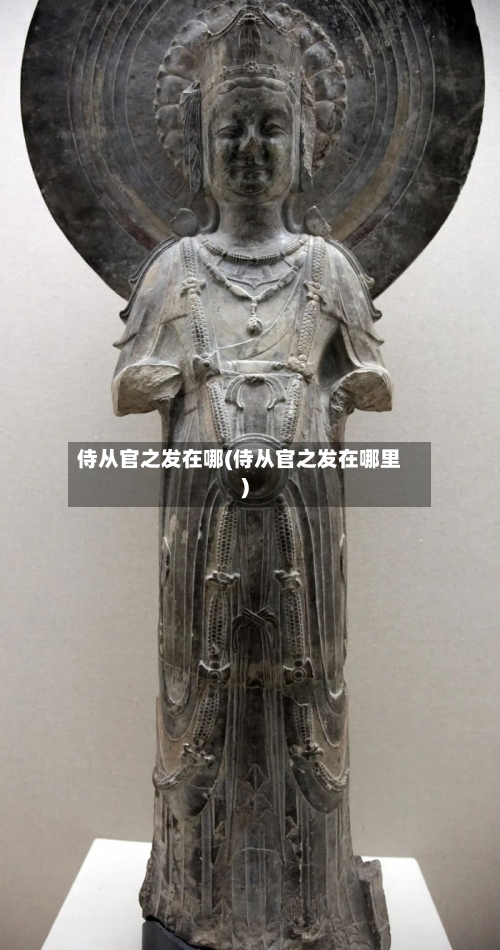 侍从官之发在哪(侍从官之发在哪里)