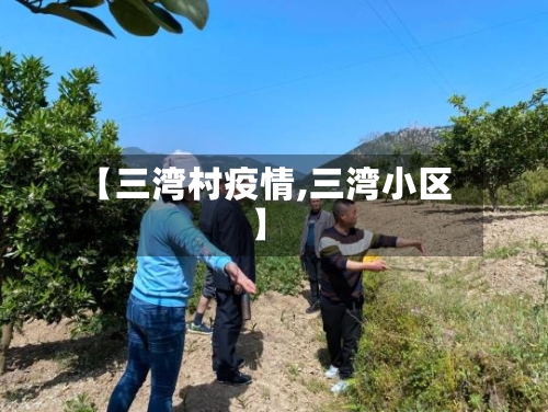 【三湾村疫情,三湾小区】