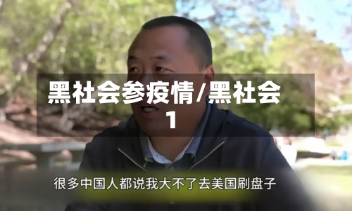 黑社会参疫情/黑社会1-第2张图片
