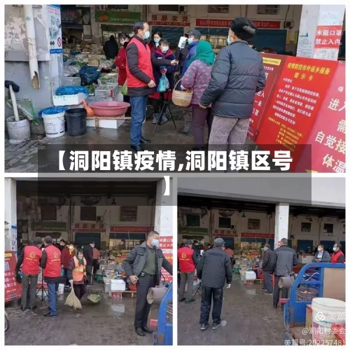 【洞阳镇疫情,洞阳镇区号】-第2张图片