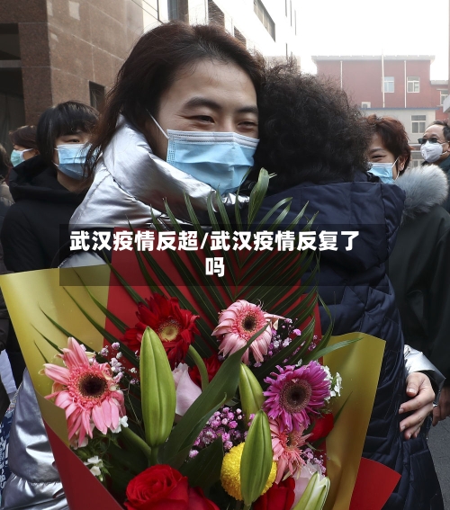 武汉疫情反超/武汉疫情反复了吗-第2张图片