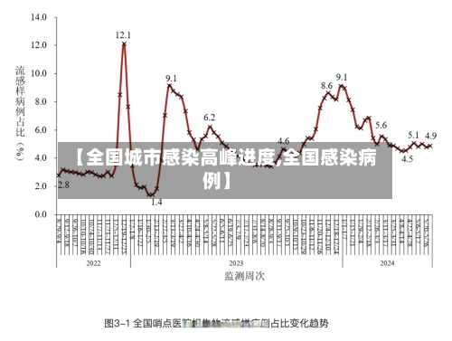 【全国城市感染高峰进度,全国感染病例】-第2张图片