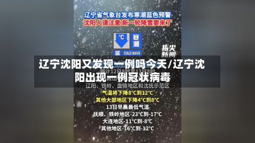 辽宁沈阳又发现一例吗今天/辽宁沈阳出现一例冠状病毒