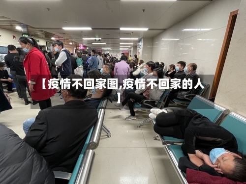 【疫情不回家图,疫情不回家的人】-第3张图片