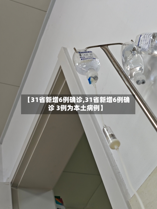 【31省新增6例确诊,31省新增6例确诊 3例为本土病例】-第3张图片
