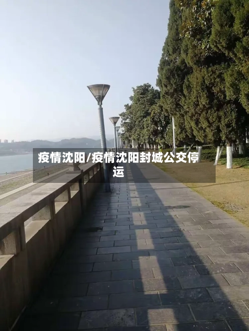 疫情沈阳/疫情沈阳封城公交停运-第2张图片