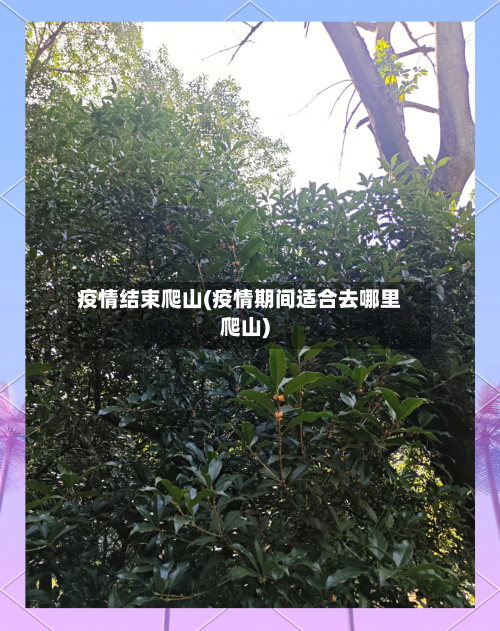 疫情结束爬山(疫情期间适合去哪里爬山)