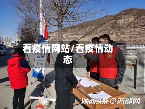 看疫情网站/看疫情动态