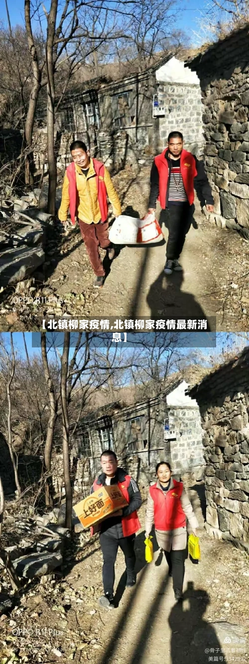 【北镇柳家疫情,北镇柳家疫情最新消息】