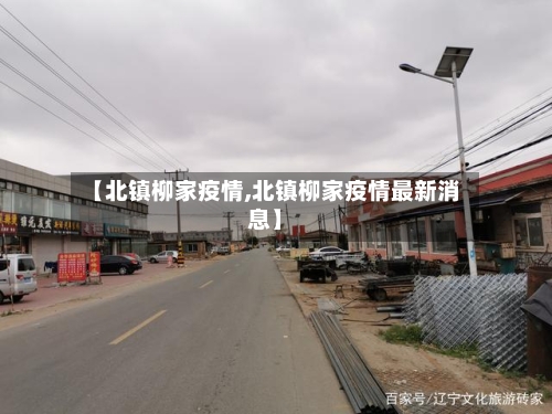 【北镇柳家疫情,北镇柳家疫情最新消息】-第2张图片