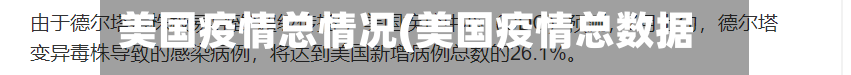 美国疫情总情况(美国疫情总数据)-第3张图片