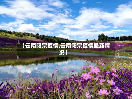 【云南阳宗疫情,云南阳宗疫情最新情况】
