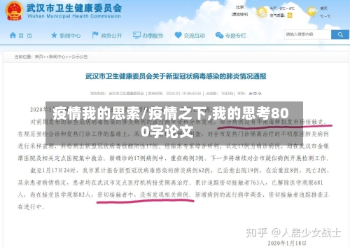 疫情我的思索/疫情之下,我的思考800字论文-第2张图片