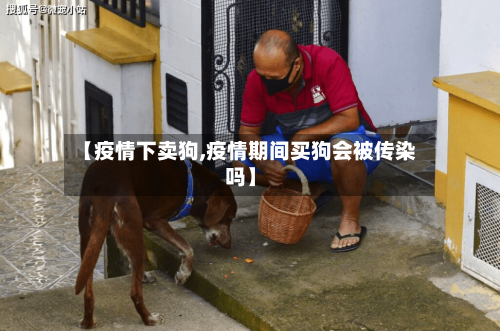 【疫情下卖狗,疫情期间买狗会被传染吗】