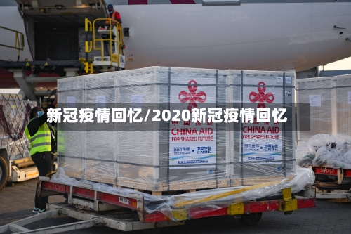 新冠疫情回忆/2020新冠疫情回忆