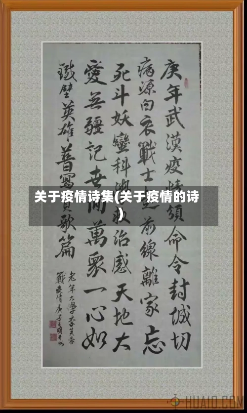 关于疫情诗集(关于疫情的诗)