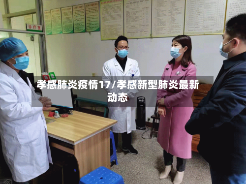 孝感肺炎疫情17/孝感新型肺炎最新动态-第2张图片