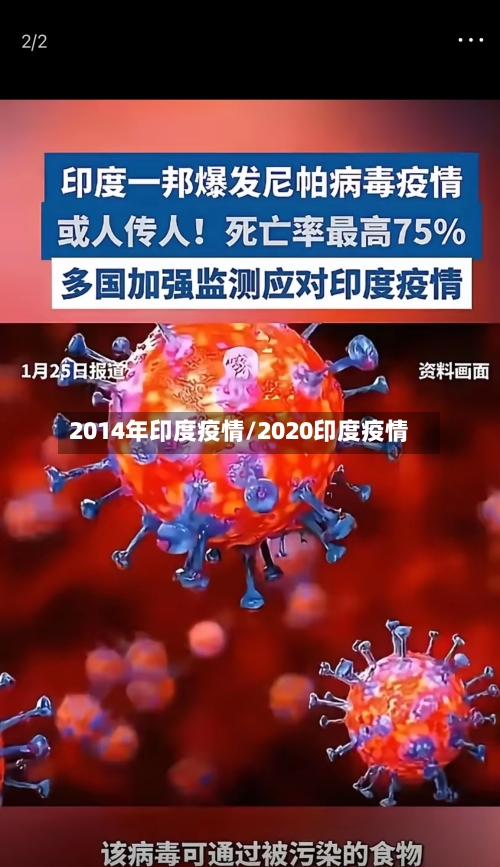 2014年印度疫情/2020印度疫情