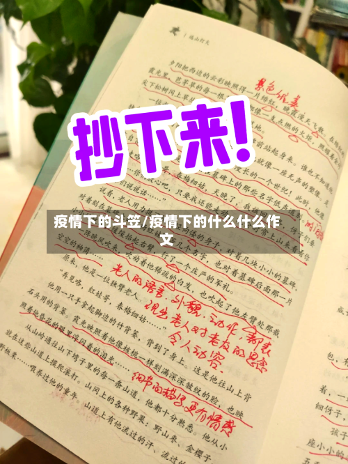 疫情下的斗笠/疫情下的什么什么作文