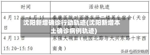 沈阳新增确诊行动轨迹(沈阳新增本土确诊病例轨迹)-第2张图片