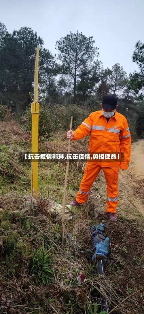 【抗击疫情郭琳,抗击疫情,勇担使命】-第2张图片