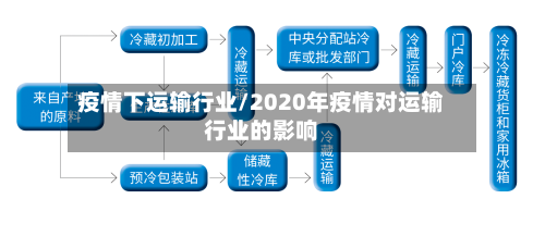 疫情下运输行业/2020年疫情对运输行业的影响
