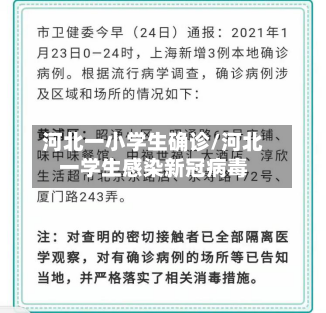 河北一小学生确诊/河北一学生感染新冠病毒