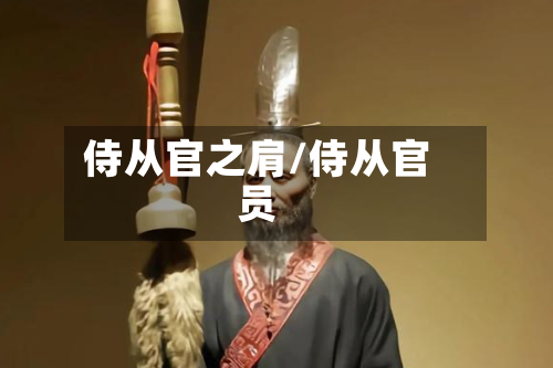 侍从官之肩/侍从官员