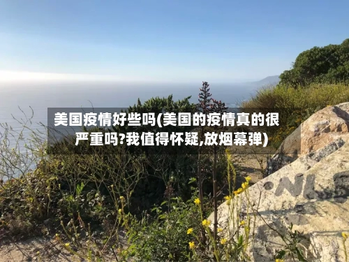 美国疫情好些吗(美国的疫情真的很严重吗?我值得怀疑,放烟幕弹)-第2张图片