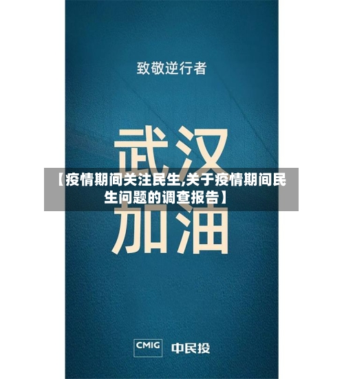 【疫情期间关注民生,关于疫情期间民生问题的调查报告】-第2张图片