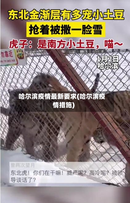 哈尔滨疫情最新要求(哈尔滨疫情措施)