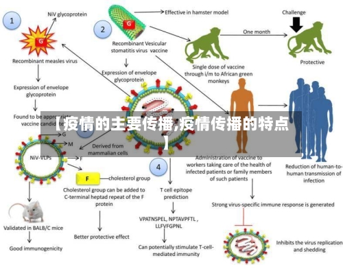 【疫情的主要传播,疫情传播的特点】-第3张图片