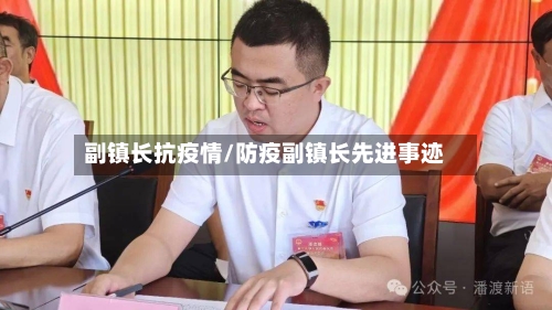 副镇长抗疫情/防疫副镇长先进事迹-第2张图片
