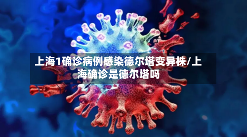 上海1确诊病例感染德尔塔变异株/上海确诊是德尔塔吗-第2张图片