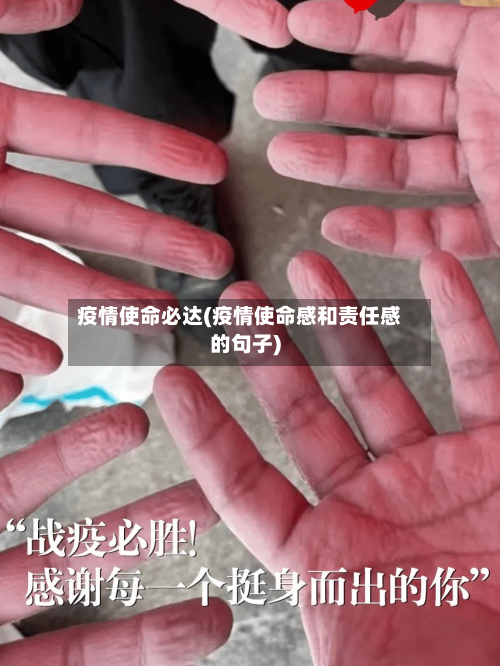 疫情使命必达(疫情使命感和责任感的句子)-第3张图片