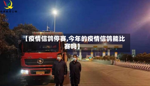 【疫情信鸽停赛,今年的疫情信鸽能比赛吗】