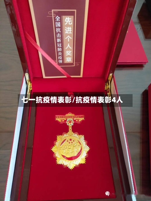 七一抗疫情表彰/抗疫情表彰4人-第3张图片