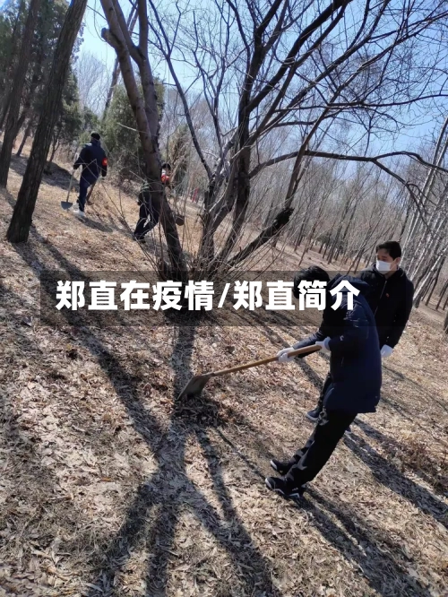郑直在疫情/郑直简介-第2张图片