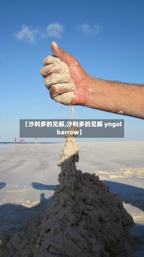【沙利多的见解,沙利多的见解 yngol barrow】