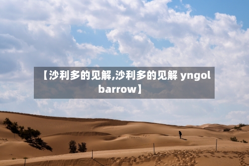 【沙利多的见解,沙利多的见解 yngol barrow】-第2张图片