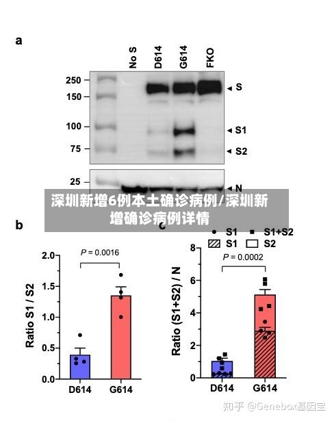 深圳新增6例本土确诊病例/深圳新增确诊病例详情-第2张图片