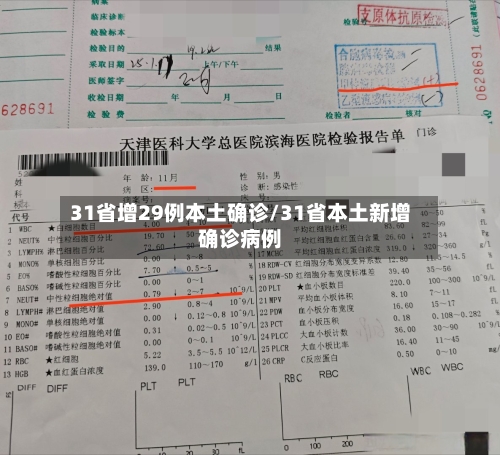 31省增29例本土确诊/31省本土新增确诊病例-第2张图片