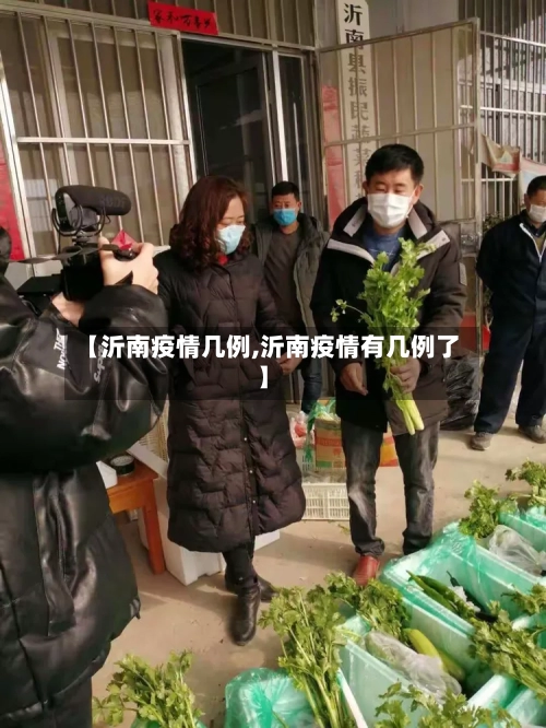 【沂南疫情几例,沂南疫情有几例了】