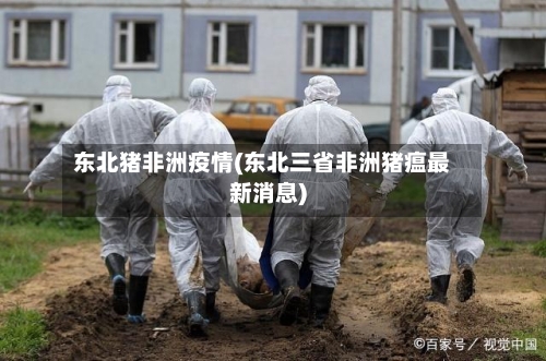 东北猪非洲疫情(东北三省非洲猪瘟最新消息)-第2张图片