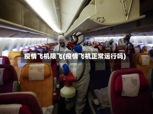 疫情飞机限飞(疫情飞机正常运行吗)-第3张图片